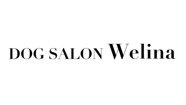 大阪府和泉市のドッグサロン DOG SALON Welina