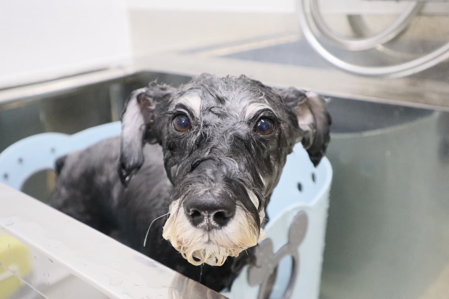 高濃度炭酸泉シャンプーマシンRUNS